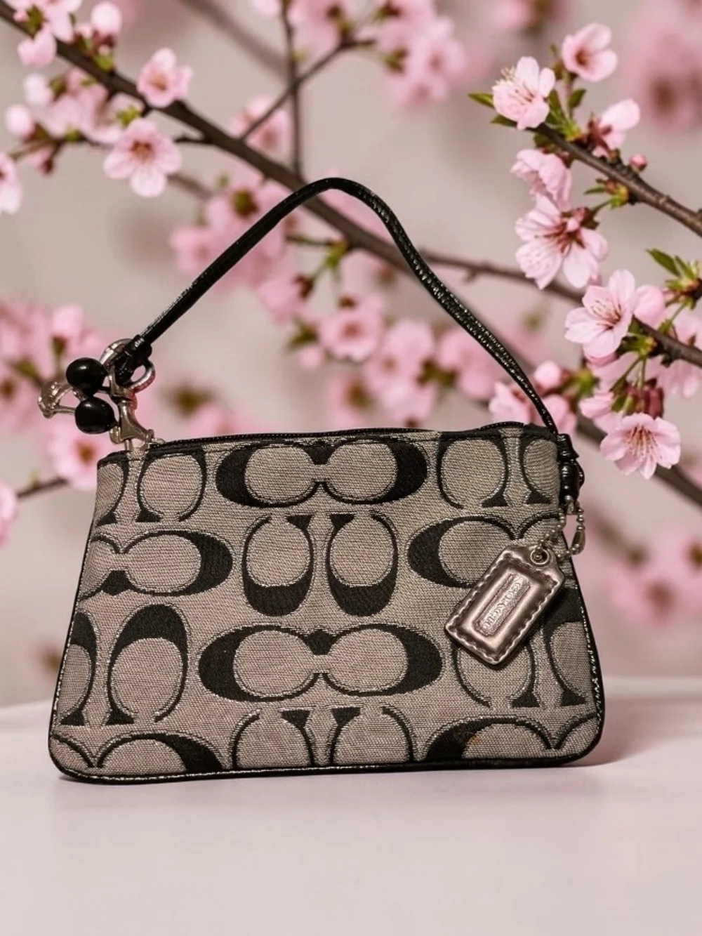 Coach signature canvas